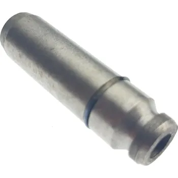 GUIDE INTAKE VALVE 22402