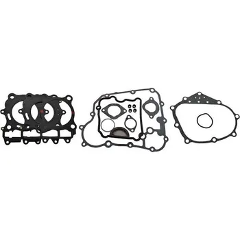 Těsnění motoru Těsnění motoru - sada RMS 100684290 KYMCO Downtown 300 2009-2011