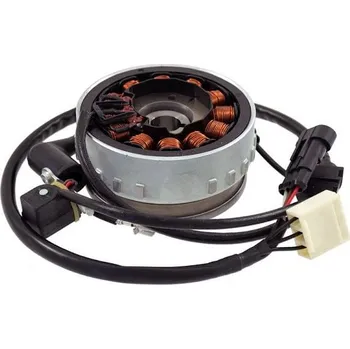 Elektroinstalace pro motocykl Setrvačník RMS 246360912 PIAGGIO/VESPA Fly 125 2012-2015