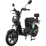 Racceway Pařez 25 bez ŘP