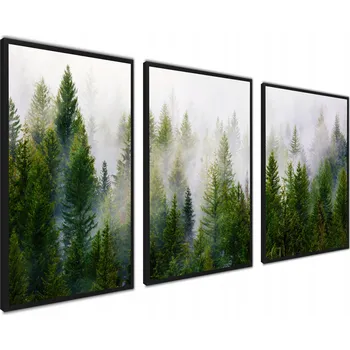 Obraz Plakáty v rámu, moderní XXL obrazy les mlha