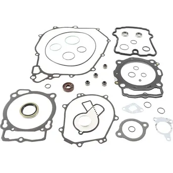 Těsnění motoru Sada těsnění motoru kompletní vč. gufer motoru WINDEROSA CGKOS 811374 811374