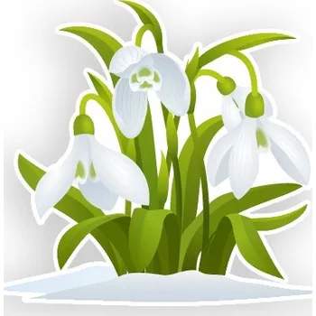 Obraz Placka s motivem knihy a komiksu - Jarní dekorace krásné KROKUSY, krokus do školky, školy, jeslí