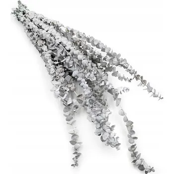 umělá květina Eukalyptus Baby - Stabilizovaný eukalyptus - Zelený