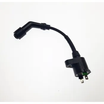 Motodíl COIL, IGNITION ASSEMBLY 3323-216