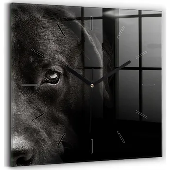 Hodiny Skleněné nástěnné hodiny s tichým chodem – Pes a skotská kočka