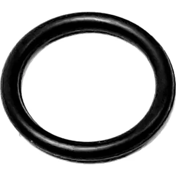 O-Ring 73013