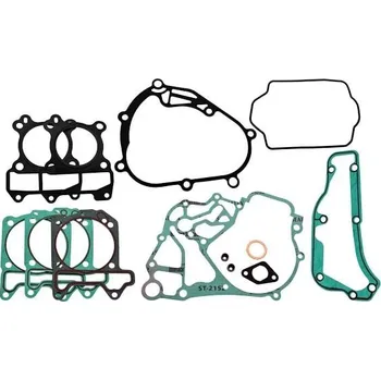 Těsnění motoru Těsnění motoru - sada RMS 100684240 100684240