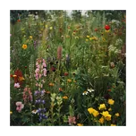 Planta Naturalis Horská louka směs…