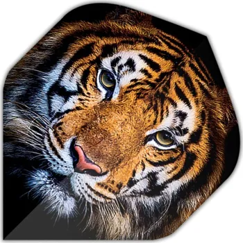 Příslušenství pro šipky Designa Letky Motley Collection - Tiger F4369