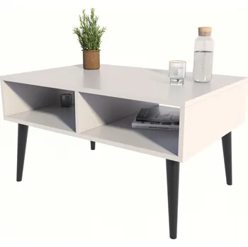 Konferenční stolek Konferenční stolek Matkam obdélníkový 100 x 50 x 46 cm bílý, černý