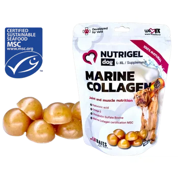 Kloubní výživa LK Baits Pet Nutrigel Dog Marine Collagen L-XL,180g