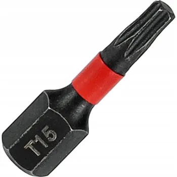 Bit Úderový bit s magnetickým hrotem TX15 25mm pro šroubovák RASTOOL