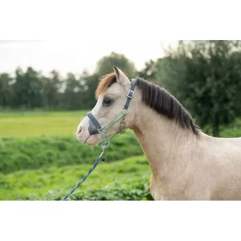 HKM Ohlávka pro poníky -Barnie- světle zelená/tmavě zelená, Pony