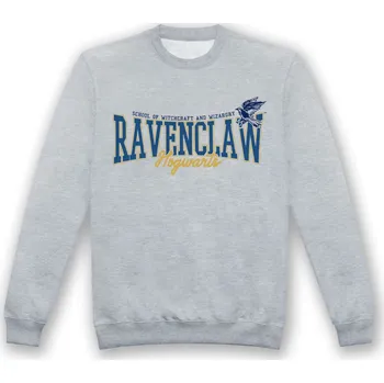 Pánská mikina Bioworld Mikina šedá Havraspár, Harry Potter Velikost: XL