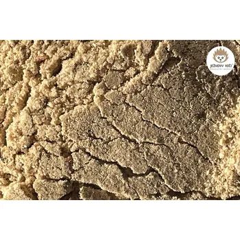 GASTRO KOŘENÍ - HOUBOVÝ VÝVAR