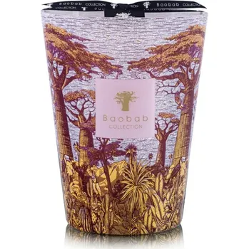 Svíčka Baobab Collection Baobab Svíčka Sacred Trees 24 CM (3 KG) - massasso + Z