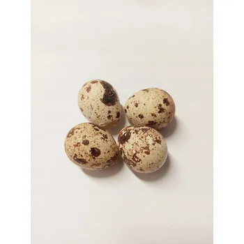 Velikonoční dekorace Křepelčí vajíčka 3,5 cm přírodní 4 ks