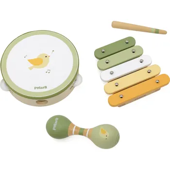 Dřevěná hračka VIGA Sada hudebních nástrojů VIGA PolarB s ptákem