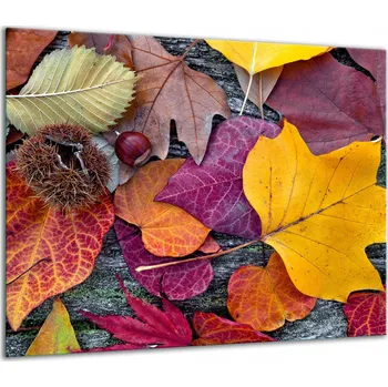 Obraz SKLENĚNÁ OCHRANNÁ DESKA NA SPORÁK 60x52 LISTY