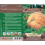 MoravoSeed Tykev velkoplodá plazivá…