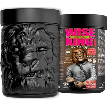 Aminokyselina Zoomad Labs WiseKing® Joint&Antiox 450 g lízátko-višeň