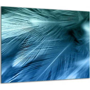 Obraz SKLENĚNÁ OCHRANNÁ DESKA NA SPORÁK 60x52 PEŘÍ