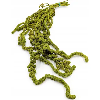 umělá květina Větvička mechová větvička Enchanted, stabilizovaná, 60 cm