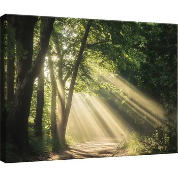 Obraz OBRAZ NA PLÁTNĚ OBRAZ NA PLÁTNĚ STĚNA LES PŘÍRODA STROMY DO LOŽNICE OBÝVÁKU KUCHYNĚ 40x30