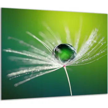 Obraz SKLENĚNÁ OCHRANNÁ DESKA NA SPORÁK 60x52 KVĚTINY