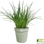 Květináč Green Basics - stone green 40 cm