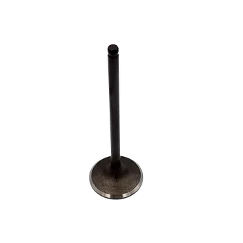 Ventil motoru Sací ventil na TGB Blade/Target 550/425