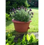 Žardina samozavlažovací Siesta bez závěsu - terakota 35 cm