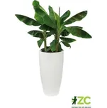 Obal Pure Soft High - white 40 cm