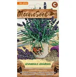 MoravoSeed Levandule lékařská 180 ks