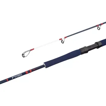 Rybářský prut Delphin FYORD BigBOAT 220cm/300-400g/2díly 220cm/300-400g/2diely