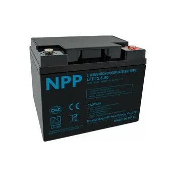 Trakční baterie Baterie LFP LiFePO4 12,8V 50Ah T14