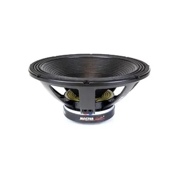 LSN21/4 Master Audio reproduktor