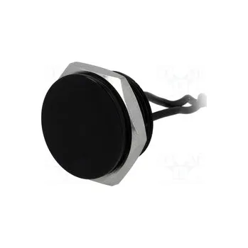 vypínač PS161P10Y21