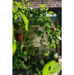 Žardina samozavlažovací Berberis se závěsem - taupe + slonová kost 30 cm