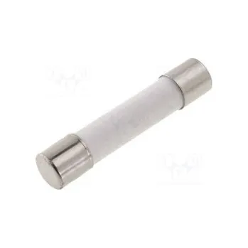 Autopojistky T 25A/6