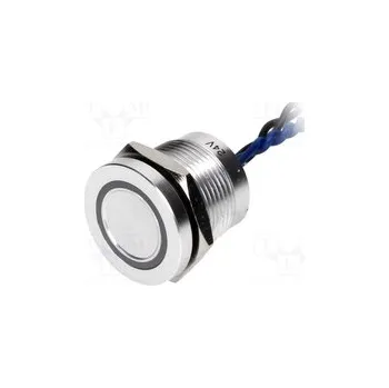 vypínač PS193P10Y01B24VT