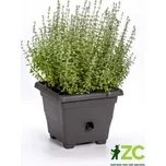 Květináč samozavlažovací Bergamot - antracit 50x50 cm