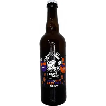 Pivo Pivovar Nachmelená Opice Sabro a Talus Hazy Pale Ale 12 0,7l Nachmelená opice