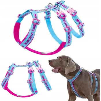 Postroj pro psa POSTROJ PRO PSA PROTI ÚTĚKU TRUELOVE FUNKY MODRO-RŮŽOVÉ VELIKOST M