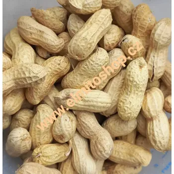 Krmivo pro ptáka Avicentra Burské oříšky