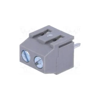 svorka DG381-3.81-2P11