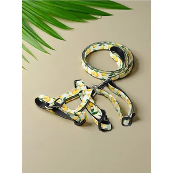 Obojek pro psa Sinsay - Vodítko, obojek a postroj pro psa - žlutá - 094FV-10X - 094FV-10X-ONE