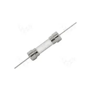 pojistka F 10A s vývody