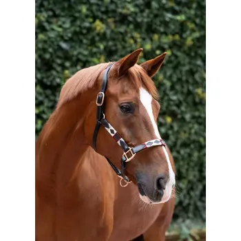 Kožená ohlávka Makari NEMO